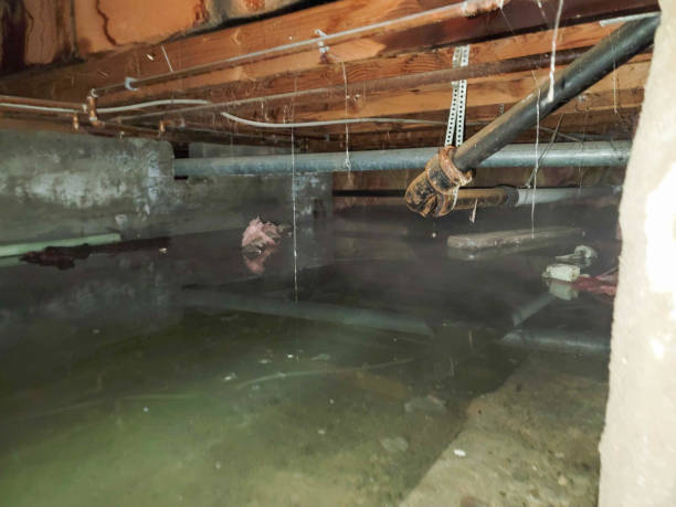Best Water damage restoration process  in Sunbury, OH