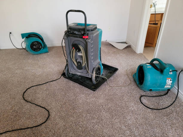 Best Fire Damage Restoration  in Sunbury, OH