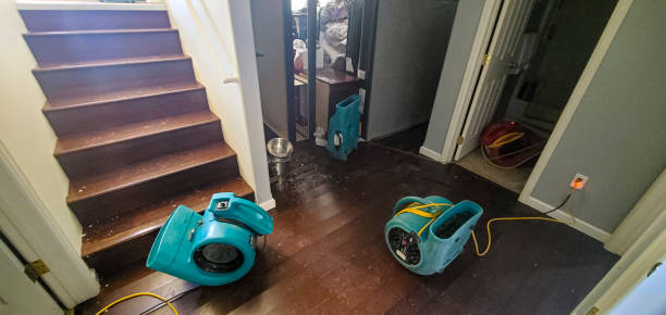 Best Water damage cleanup near me  in Sunbury, OH