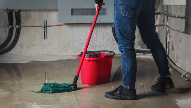 Best Residential water damage restoration  in Sunbury, OH
