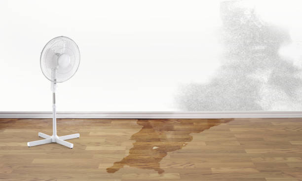 Water damage restoration experts in Sunbury, OH
