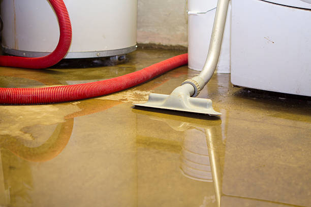 Best Ceiling water damage repair  in Sunbury, OH