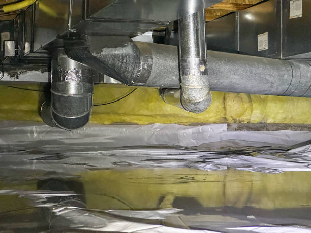 Best Local water damage restoration  in Sunbury, OH