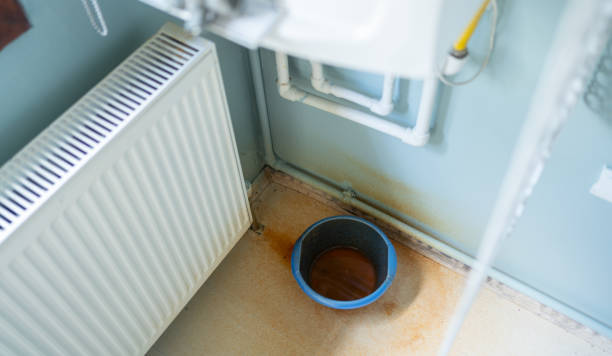 Best Water damage contractors near me  in Sunbury, OH