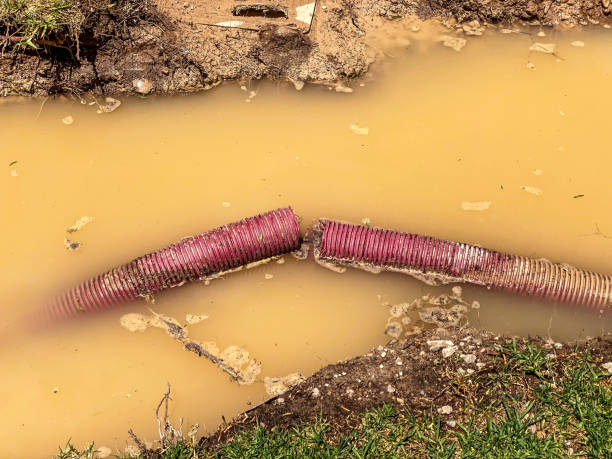 Reliable Sunbury, OH Water damage restoration Solutions