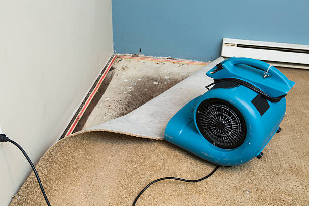 Local water damage restoration in Sunbury, OH